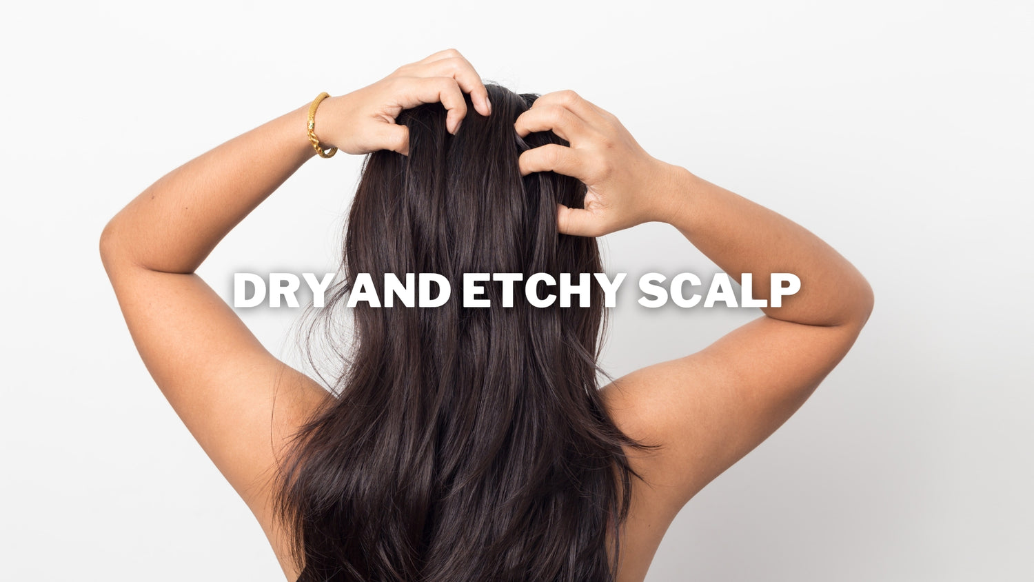 dry scalp shampoo for women from Bree probiotics