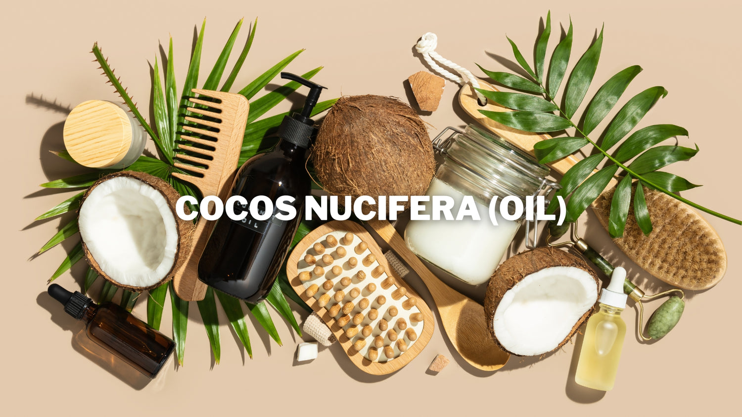 Coconut oil ingredient in Bree probiotic Hair shampoo bar and conditioner